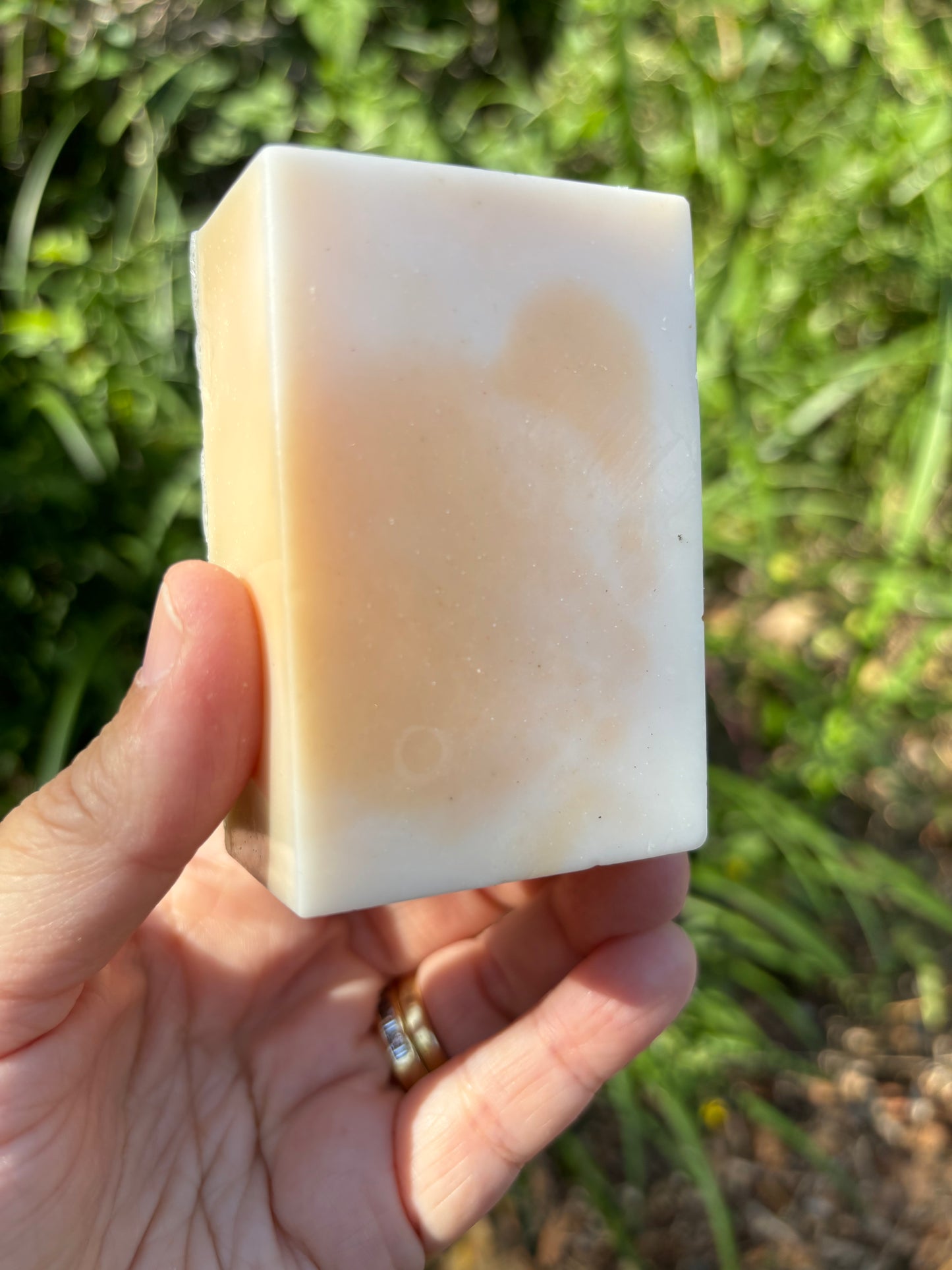 Honey Nectarine