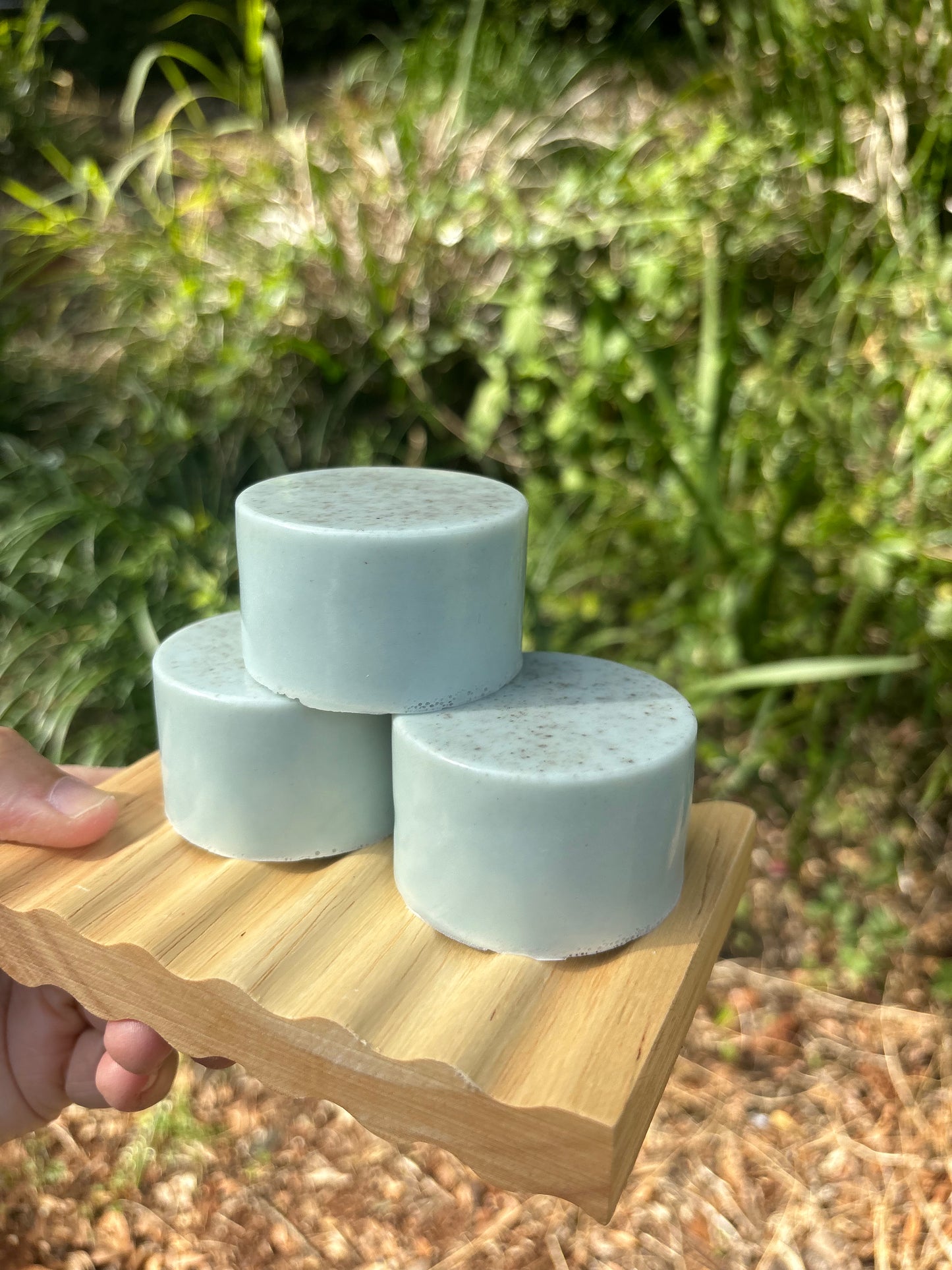 Aloe, Ginger & Mint Shampoo Bar