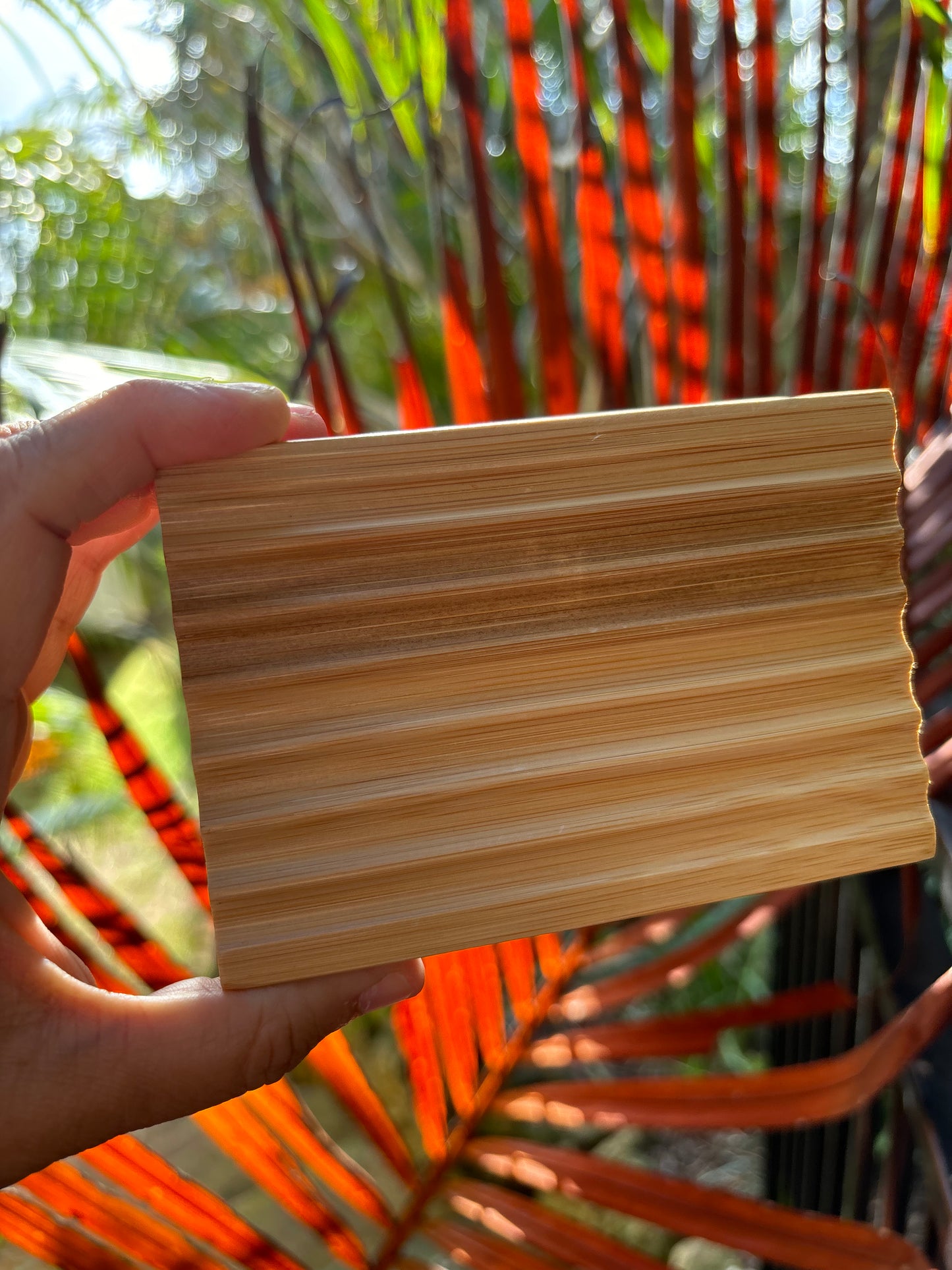 Grooved Soap Dish